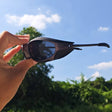 Gray Frame Gray Lens With Case