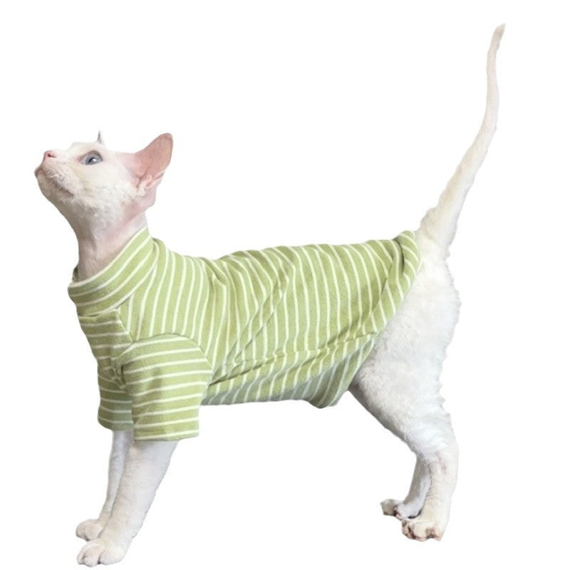 Green and white striped cat shirt on a hairless cat stretching upward against a white background