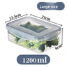 Large size 5 / Transparent