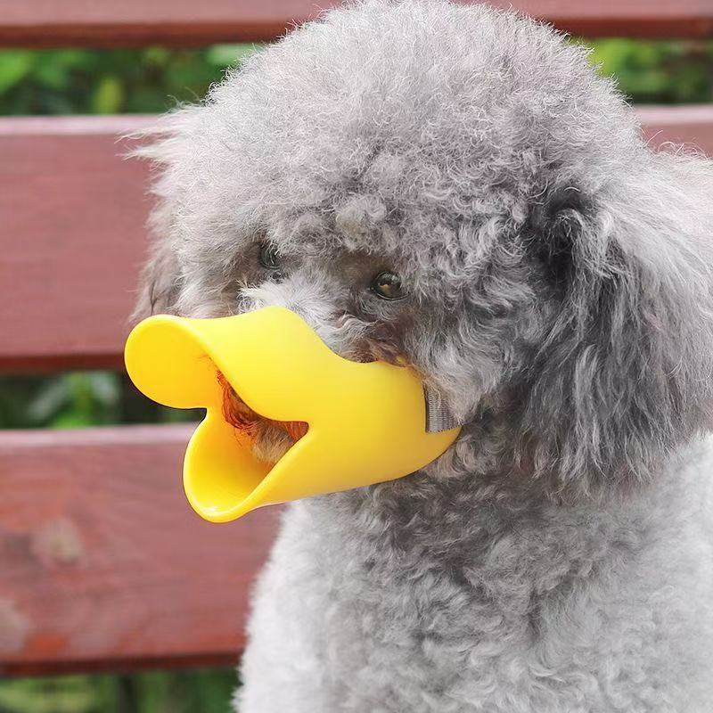 Duckbill dog muzzle worn by a grey poodle outdoors, soft silicone bill cupping over the snout