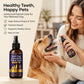 Woman spraying the dental spray toward a golden retriever's mouth beside the 100 ml bottle