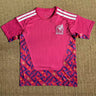 2627Mexican Goalkeeper