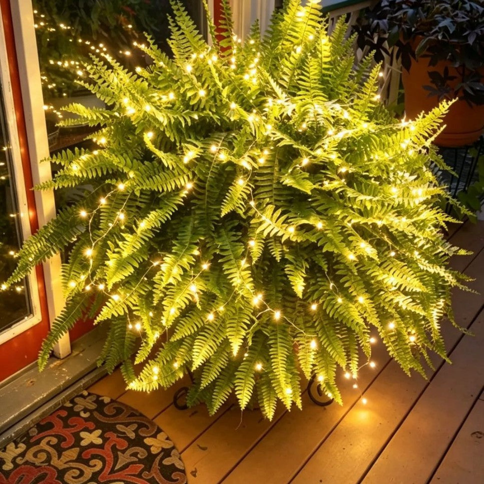 Close view of a lit artificial Boston fern with glowing lights on a porch deck at dusk