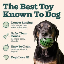 Pet Feeding Toy