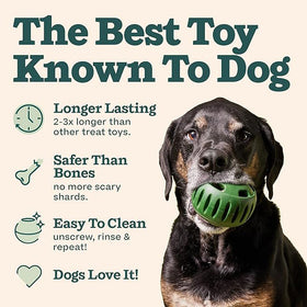 Pet Feeding Toy