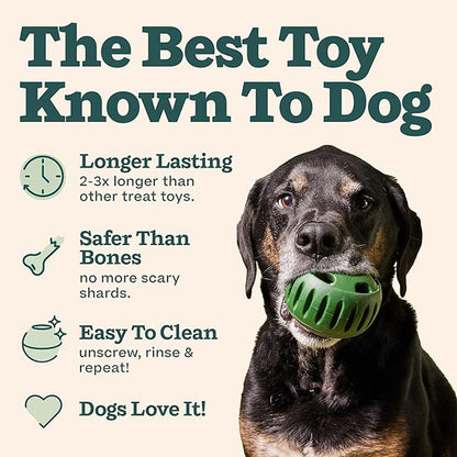 Pet Feeding Toy