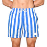 Blue White Stripe