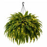 Boston Fern 3 m Warm Lights with Iron Chain / 38 Heads