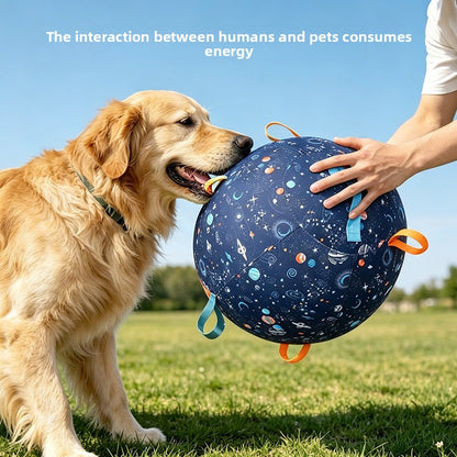 Golden retriever nosing a navy planet print inflatable dog ball on grass