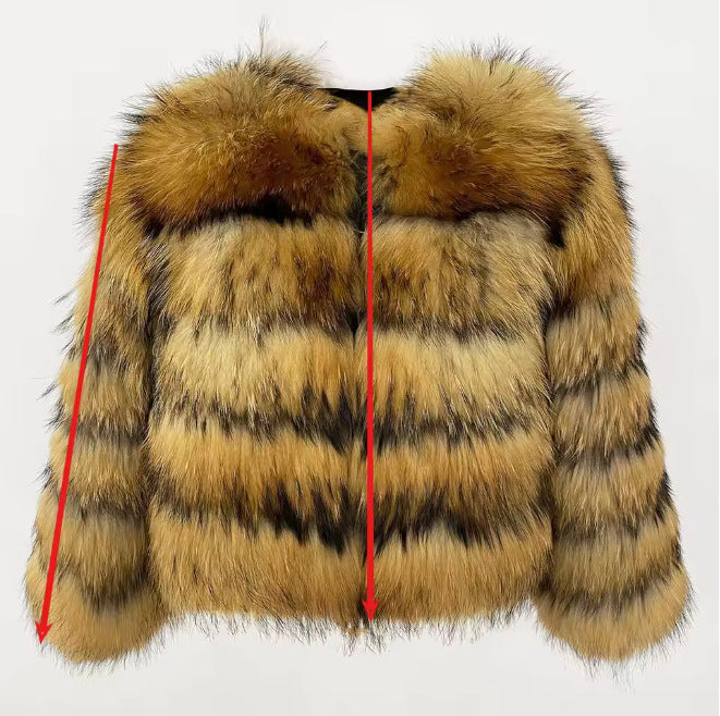 Natural Brown cropped banded fur coat, 5-Section layout, size 4XL