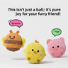 Bouncy ball chick