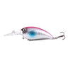Color 6