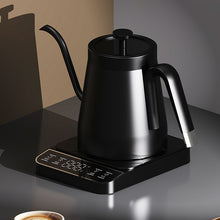 Temperature Control Gooseneck Electric Kettle