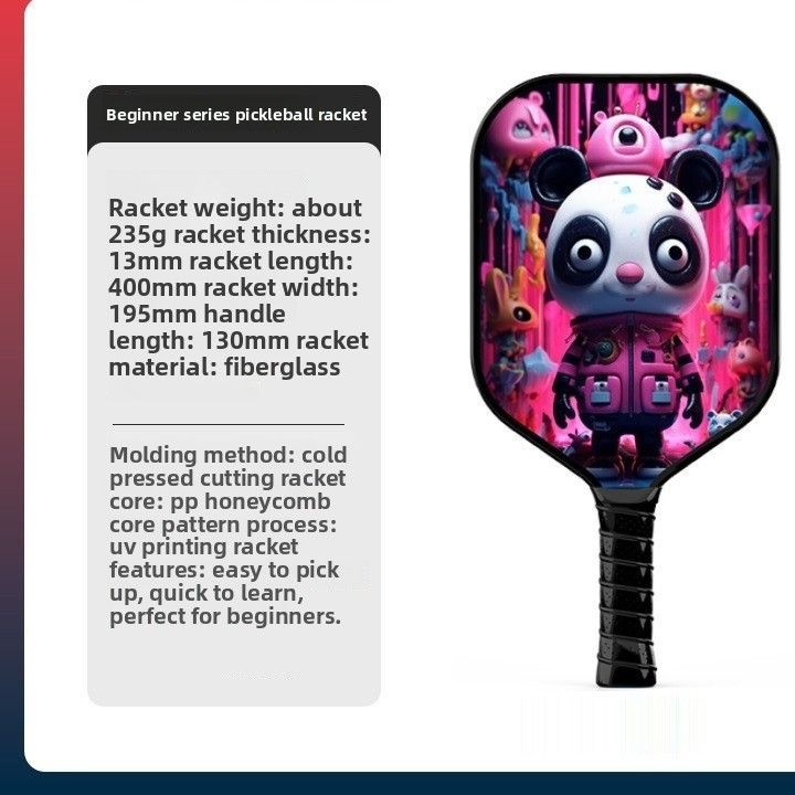 Professional Pickleball Racket | modern interior context