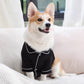 Corgi sitting on a sofa in the black pet pajama shirt with a notched collar and white piping