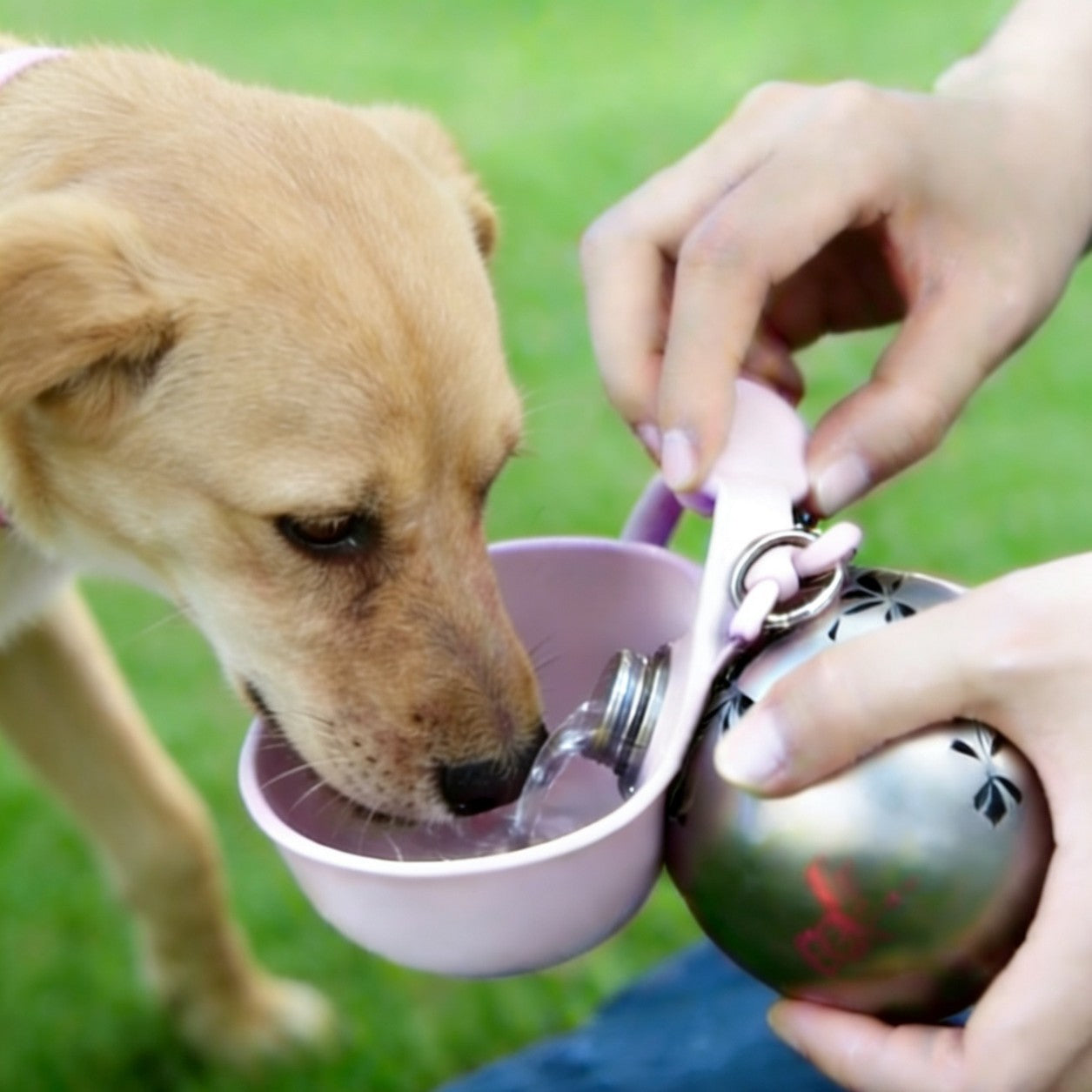 Stainless Steel Pet Water Bottle | front view product detail