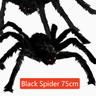 75 cm | 30 in