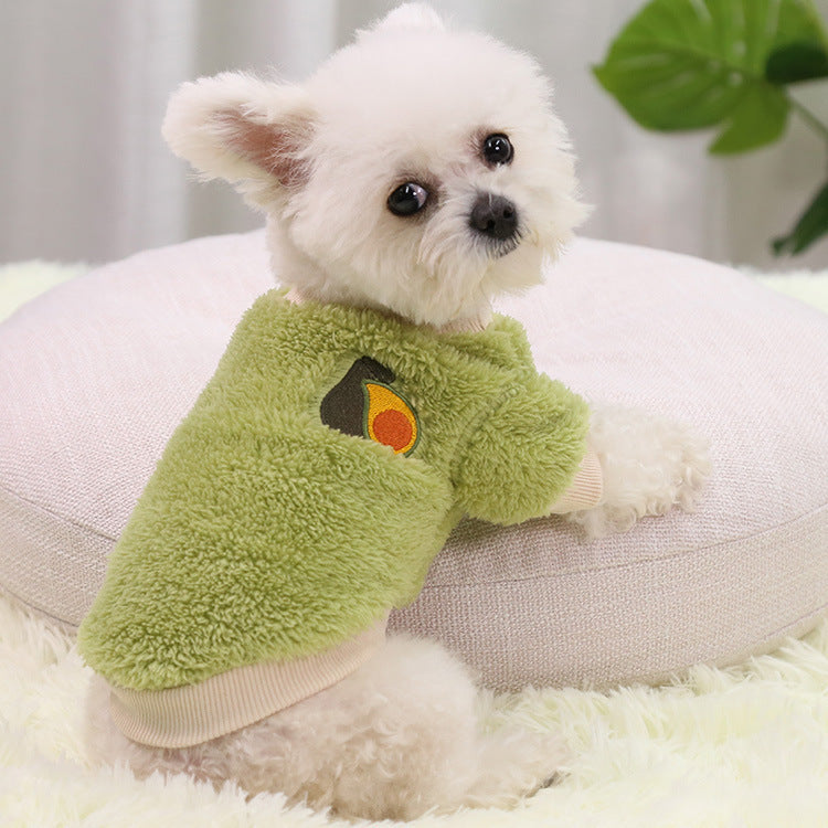Small white dog in a green plush pullover with an embroidered avocado patch, size M