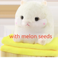 Hamster Plush Pillow Blanket Set