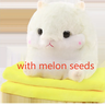 Hold melon seeds rice white hamster / 40cm pillow with hand in 1�1.7 m blanket