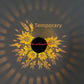 Solar Garden Projection Light | solar panel top view