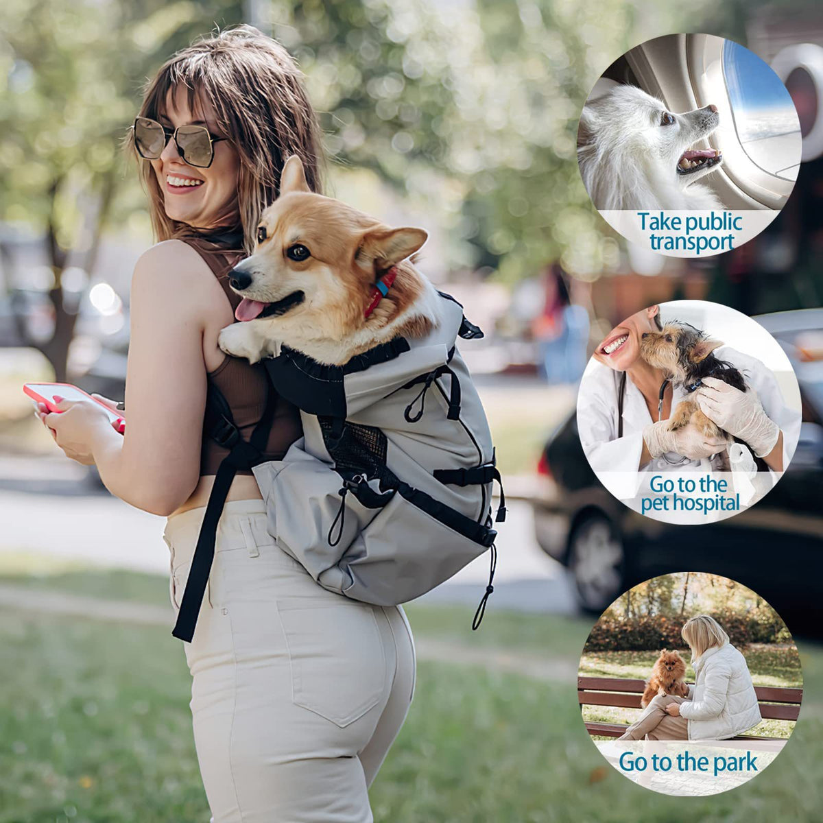 Woman carrying a corgi on her back in a legs out dog carrier backpack outdoors