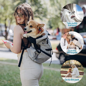 Woman carrying a corgi on her back in a legs out dog carrier backpack outdoors