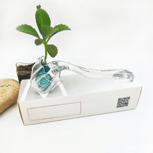 Professional Dermaroller Micro Needle Skin Care