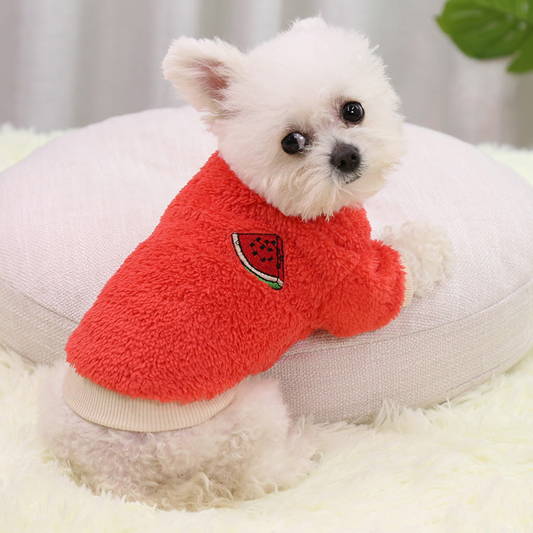 Small white dog in a red plush pullover with an embroidered watermelon slice patch, size XL