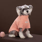 Small dog wearing the plush fleece sweater with the ribbed turtleneck collar