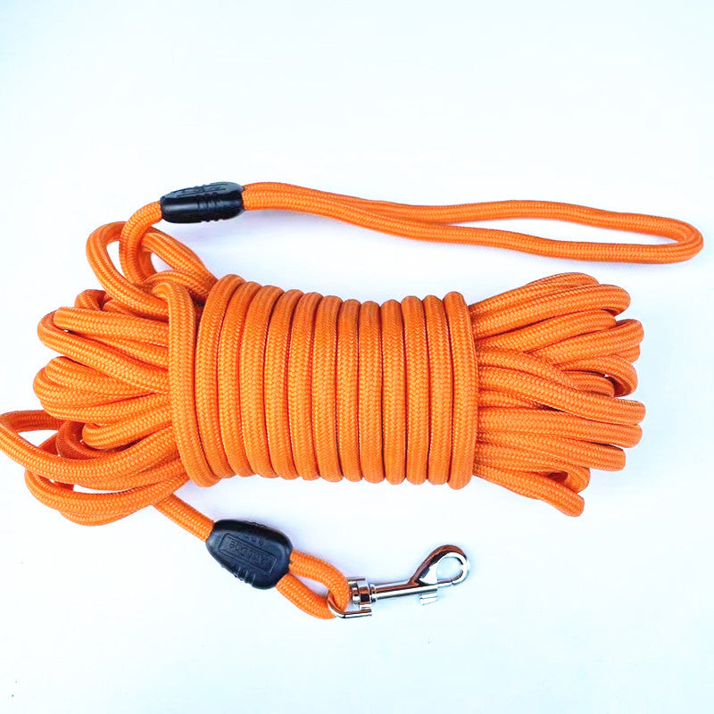 Coiled round nylon training leash for dogs and cats with a metal swivel snap hook