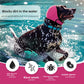 Spotted dog wearing the rose red ear cover snood while splashing through open water