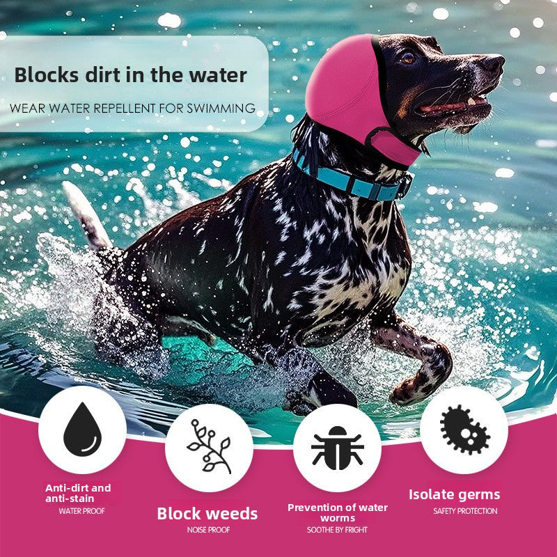 Spotted dog wearing the rose red ear cover snood while splashing through open water