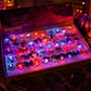 Single random Halloween LED light up finger ring with a glowing spooky design