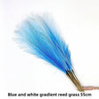 Blue-White Gradient 10pcs