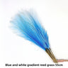 Blue-White Gradient 10pcs