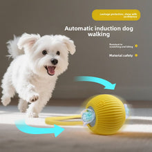 Interactive Motorized Rolling Ball for Dogs and Cats
