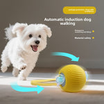 Yellow motorized rolling pet ball with clear housing and rope tail on a light floor