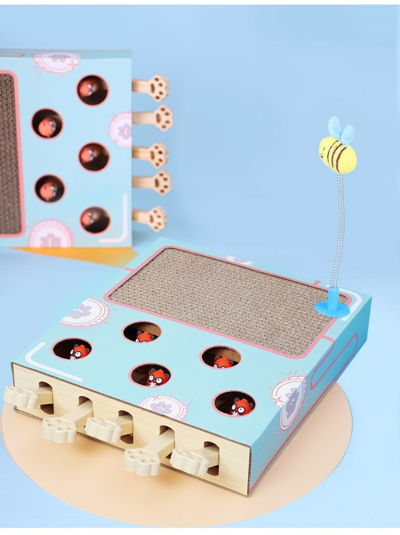 Groundhog cat toy with the spring bee teaser and blue and white cardboard box versions
