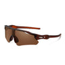 Brown Frame Brown Lens