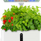 Close view of herbs under the LED grow bar with the water level window on the white base