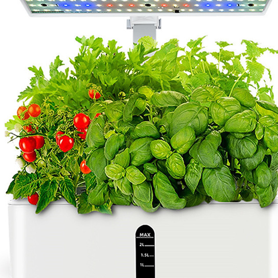 Close view of herbs under the LED grow bar with the water level window on the white base