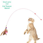 Cat reaching for a feather and bell teaser wand on a springy steel wire rod