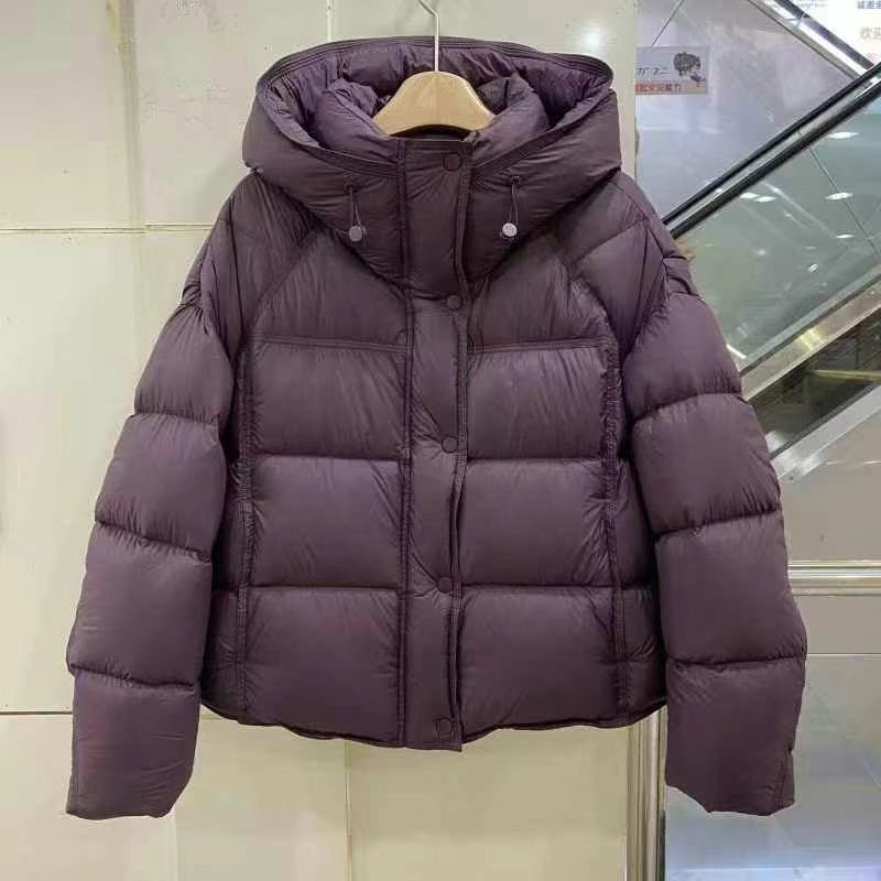 Down puffer jacket shown on a hanger, boxy short shape with a drawcord hood
