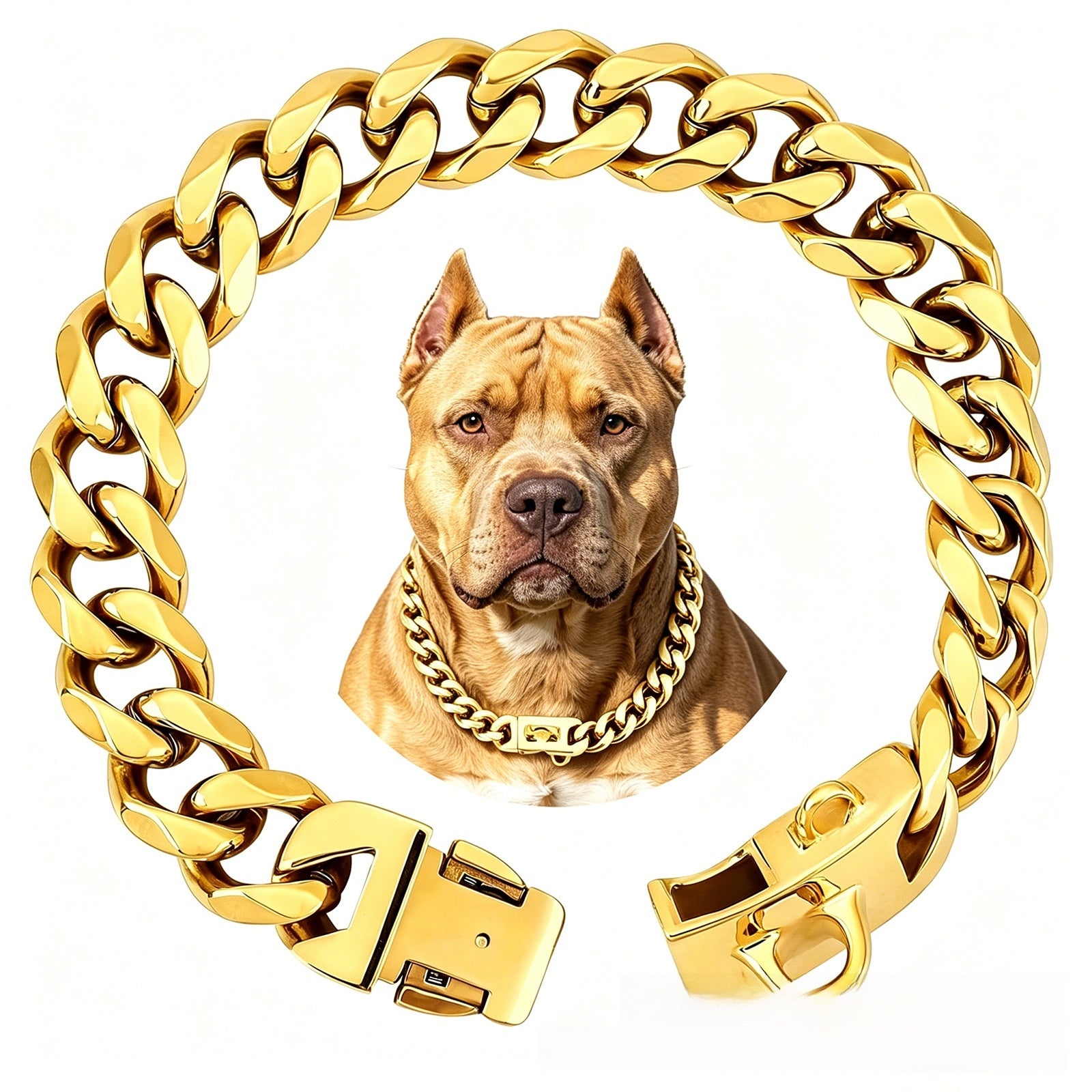 Stainless steel Cuban link dog collar with a dog wearing the matching chain in the centre