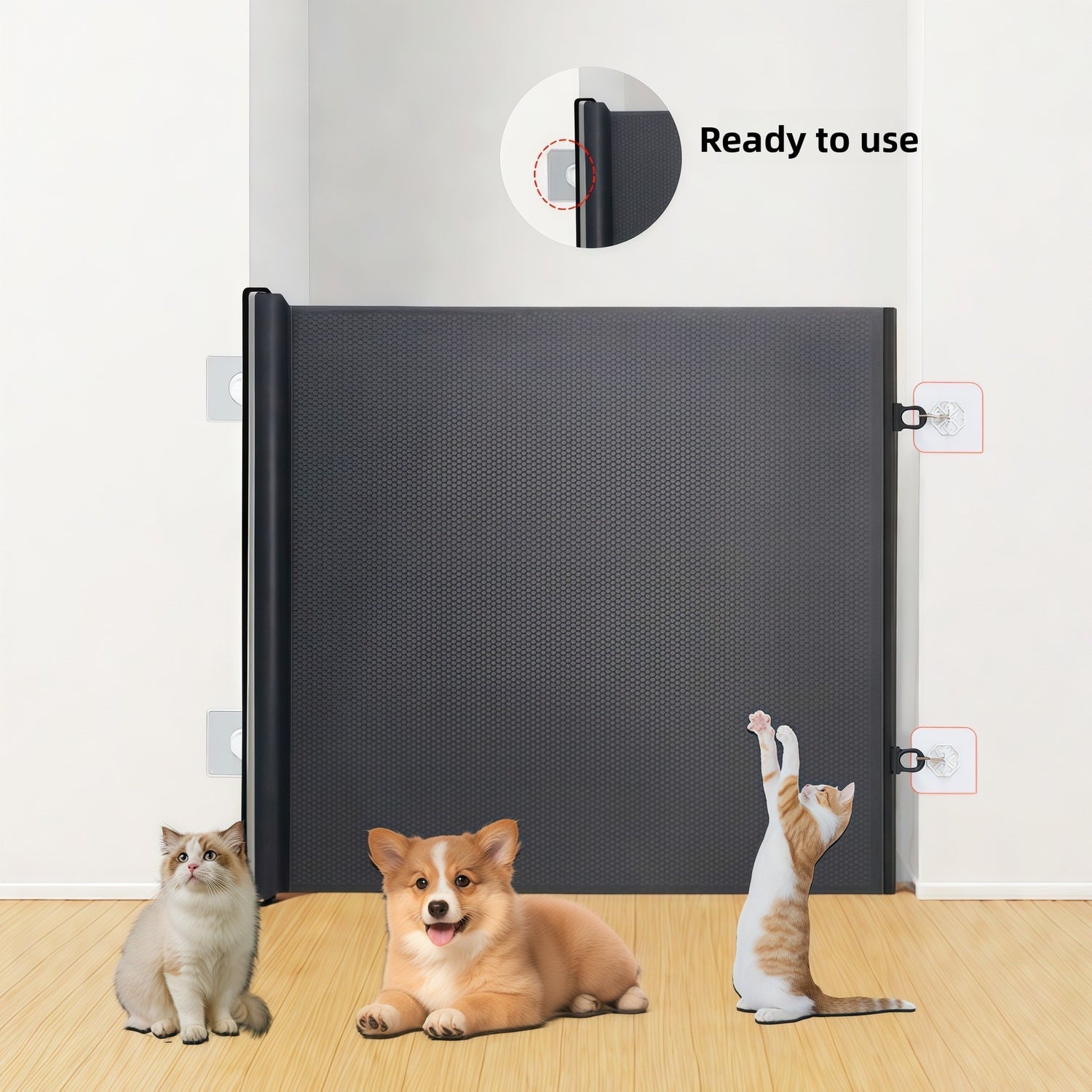 Black roll up pet gate across a doorway with a cat and a corgi in front and a zoom on the cassette