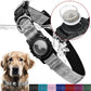 Pet collar AirTag holder fitted on a dog's collar in a park