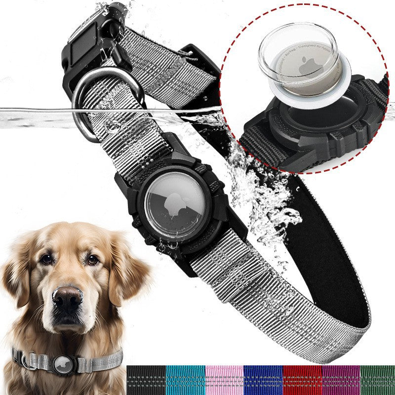 Pet collar AirTag holder fitted on a dog's collar in a park