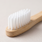 Close up of soft nylon rounded bristles set into a natural bamboo handle