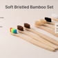 Soft bristled bamboo set infographic of materials and features